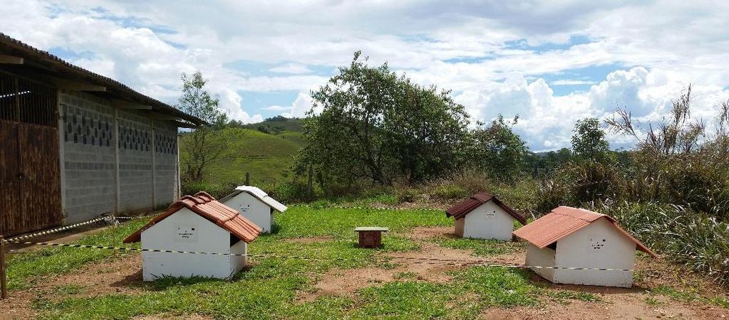 3. MATERIAL E MÉTODOS O experimento foi conduzido na área experimental do Departamento de Zootecnia da Universidade Federal de São João del-rei, localizado no Campus Tancredo de Almeida Neves em São