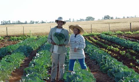 Agricultura Familiar no Brasil Agricultura Familiar no Brasil É responsável por 70% da produção de alimentos (70 % do feijão, 49 % do milho, 84 % da mandioca, 58% dos suínos, 71 % do leite, 62 % da