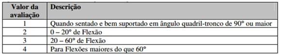 Figura 9 - Valores e Critérios para avaliação do Tronco (Grupo B) Fonte: Mc Atamney & Corllet (1993).