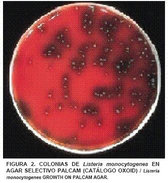 conjuntiva e genitourinário. o Virulência varia entre as espécies.