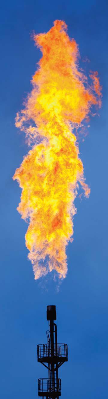 20 Figura 1 Queimadores flares (FARINA, 2010) O aumento da participação do gás natural na matriz energética dos países propiciou a valorização deste recurso natural.