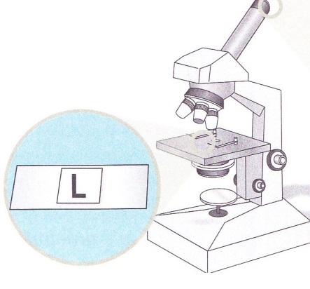 A figura 4 representa um microscópio. Faz a sua legenda, colocando o respetivo número.