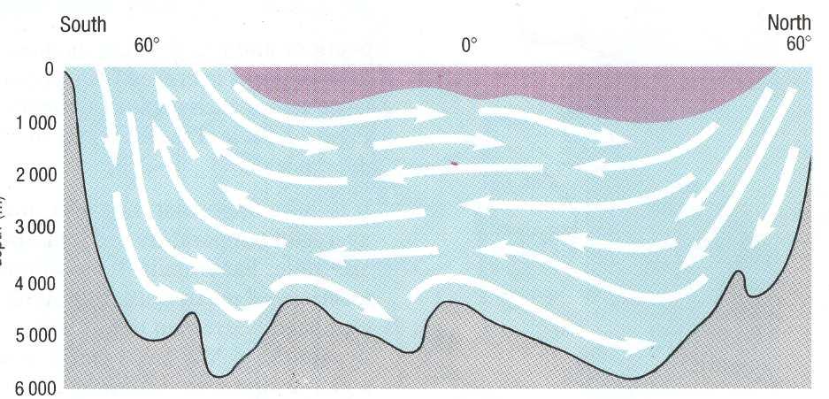 Oceanografia Física Descritiva x Oceanografia Dinâmica Circulação Thermohalina (The Open