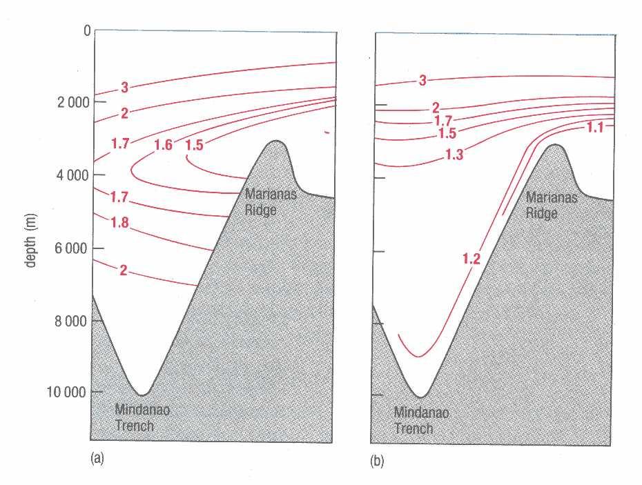 Oceanografia Física Descritiva x Oceanografia Dinâmica Seção Vertical de Temperatura in situ e Potencial