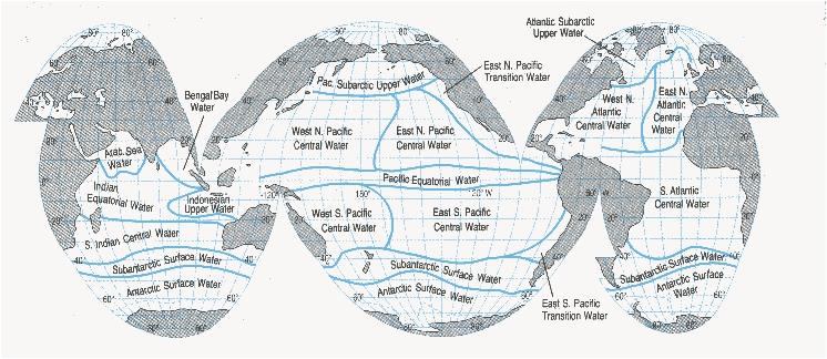 Oceanografia Física Descritiva x Oceanografia Dinâmica Distribuição Horizontal: Massa de Água Central