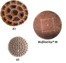 CAPÍTULO II - FUNDAMENTOS TEÓRICOS E REVISÃO DA LITERATURA Figura 2.3 - Crescimento do biofilme majoritariamente na porção protegida em suportes utilizados em MBBR. FONTE: VEOLIA (2015). Tabela 2.