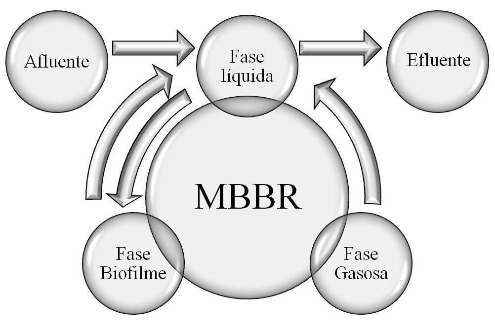 CAPÍTULO III - MODELAGEM MATEMÁTICA DE REATORES DE LEITO MÓVEL COM BIOFILME 3.2 