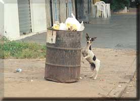 partículas de borracha tinta ferrugem Apenas