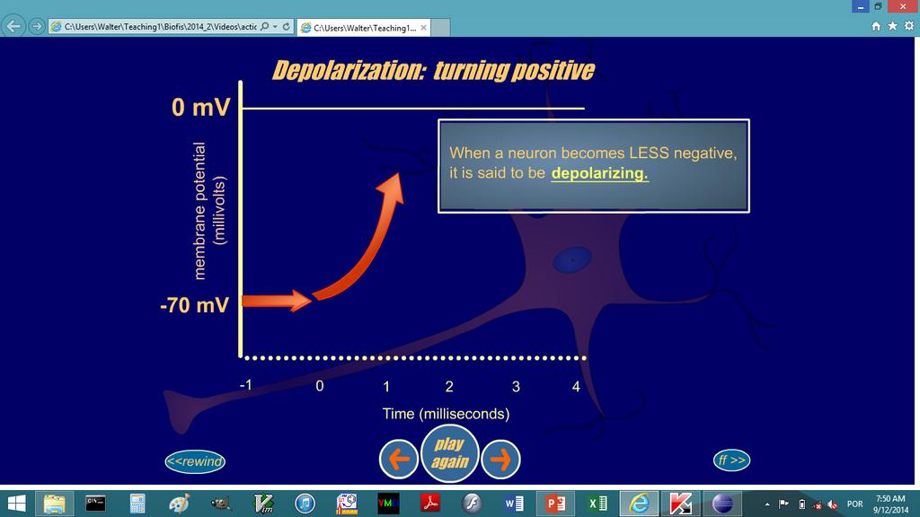 Potencial de membrana (milivolts) Despolarização (ficando positivo) Quando o potencial de membrana do neurônio,