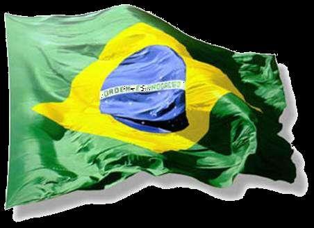 A TNX Brasil Uma empresa brasileira especializada em prover soluções