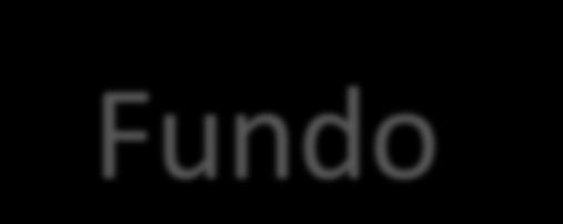 Fundo É a modalidade de financiamento público com a qual os recursos, basicamente de origem orçamentária, são, em geral, aplicados sem expectativa de retorno (a fundo perdido).