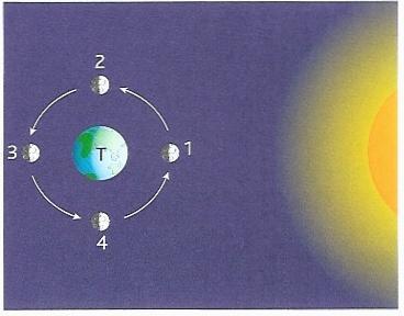 4. O esquema da figura 3 seguinte mostra as diferentes posições da Lua no seu movimento em torno da Terra. 4.1.