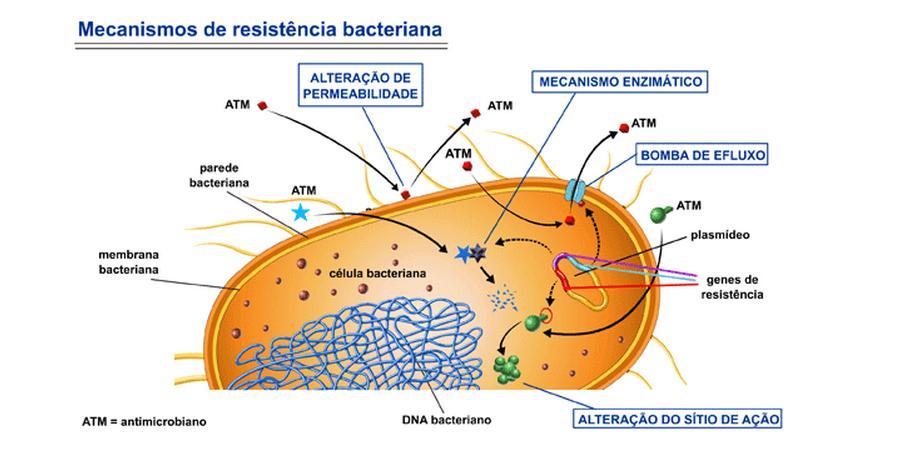 Mecanismos de