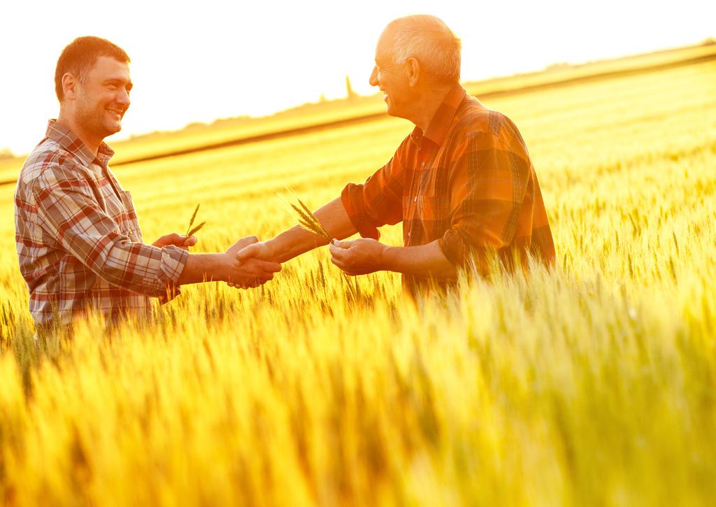 Ambição de tornar o setor agrícola nacional mais forte O Agroportal procura empresas e marcas envolvidas com o setor da agricultura e floresta, que partilhem a ambição de tornar o setor agrícola