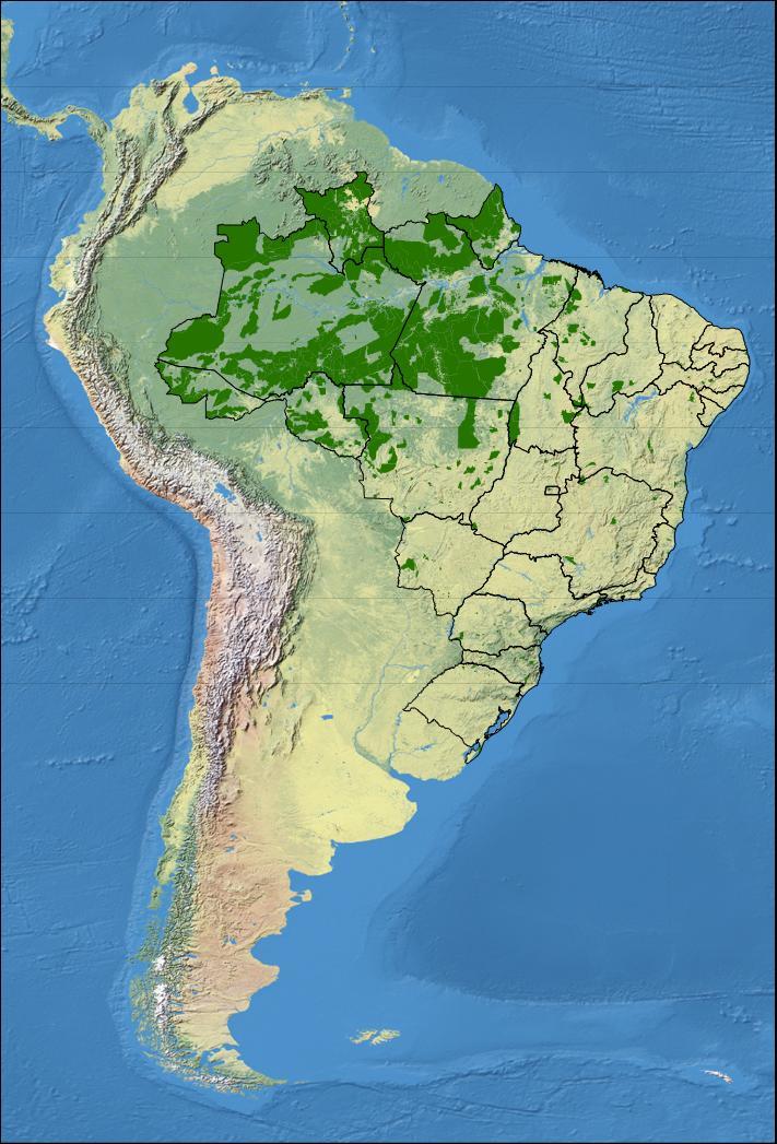 As Florestas Públicas Brasileiras O Cadastro Nacional de Florestas Públicas registra, em junho de 2009, a existência de 210.870.585 hectares de florestas públicas.