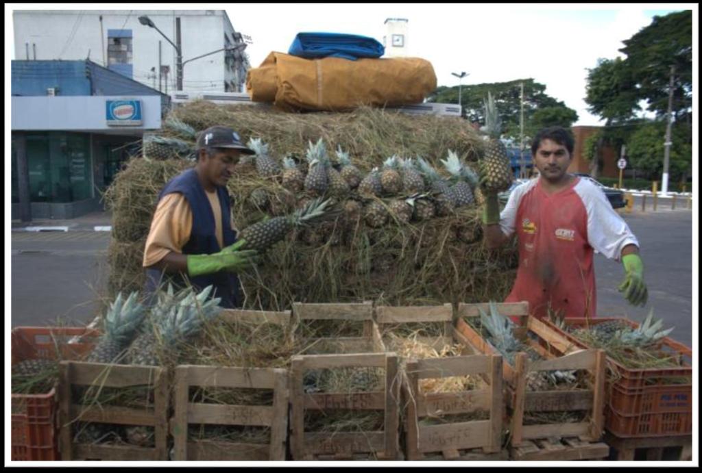 2º Transporte a