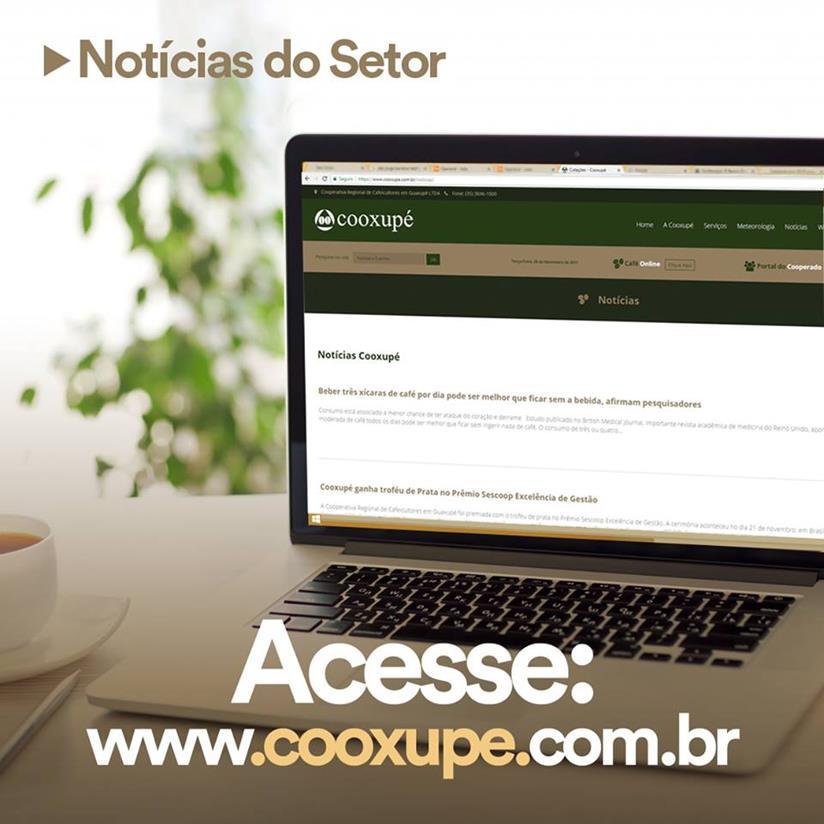 No site da Cooxupé, os cooperados têm acesso a informações financeiras, resultados de análises do