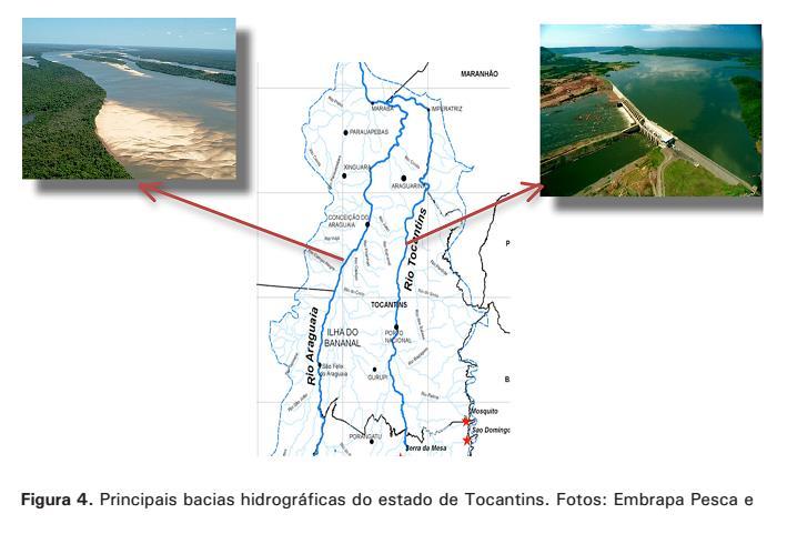 Comercialização Fatores favoráveis: Disponibilidade de recursos hídricos; Temperaturas elevadas;