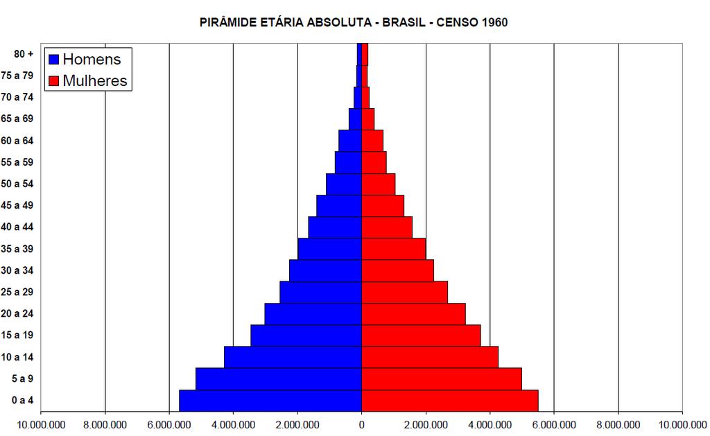 19 Figura 1- Pirâmide etária brasileira comparativa (1960-2010).
