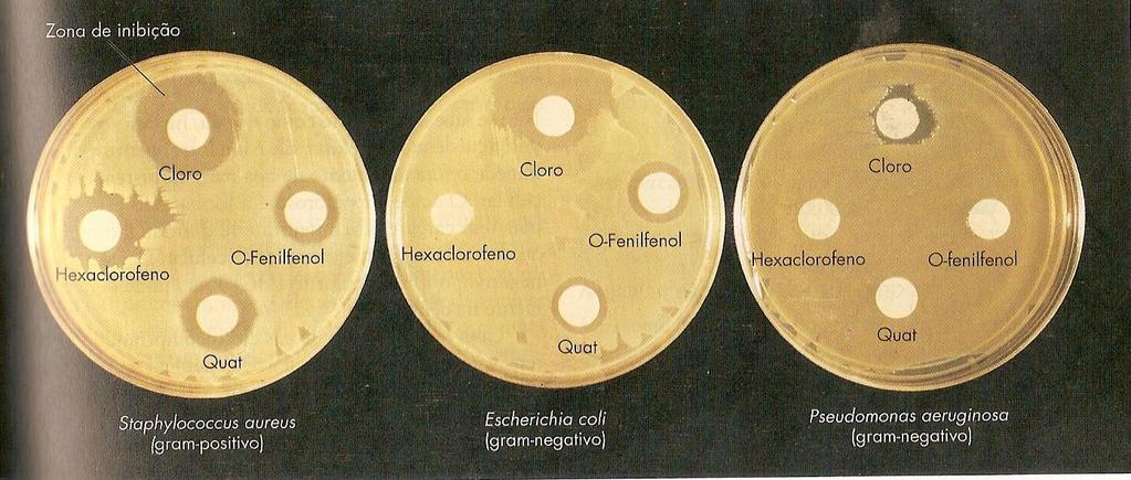 TESTES DE ATIVIDADE DE ANTISSÉPTICOS Teste de Atividade Bacteriostática