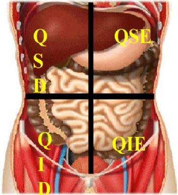 EMERGÊNCIAS PRÉ-HOSPITALARES Anatomia OObs: a lesão da letra A não está localizada em um membro, por isso não é possível dizer se é distal, proximal etc.