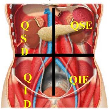 Anatomia EMERGÊNCIAS PRÉ-HOSPITALARES QUADRANTES ABDOMINAIS Quadrante Inferior Direito QID Apêndice.