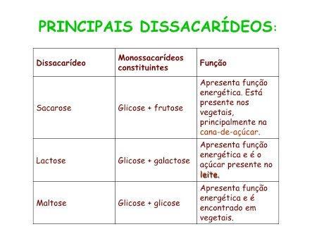 Dissacarídeos São moléculas