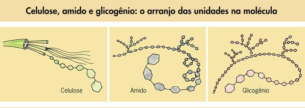 Polissacarídeos Um polímero formado pela união de vários monômeros.