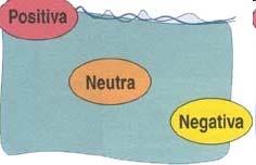 Flutuabilidade Tecidos mais densos que a água Peixes ósseos neutro Bexiga natatória / órgão especializado Localiza entre cav.