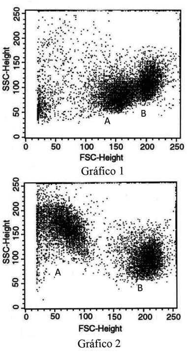 37. O gráfico 1 apresenta a morfologia de timócitos controle e o gráfico 2 mostra timócitos tratados com ATP extracelular.