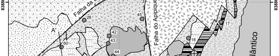 resultados do trabalho de campo,