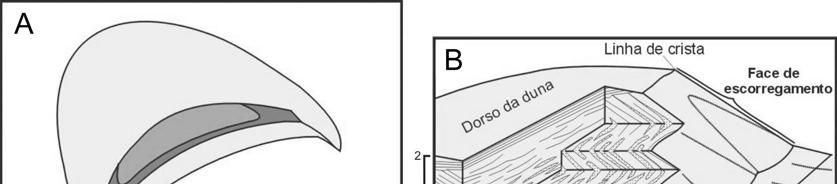 Na base dos sets, os estratos tangenciam a superfície basal, sendo constituídos por laminações de marcas onduladas eólicas (litofácies St(e)) (Fig. 7).