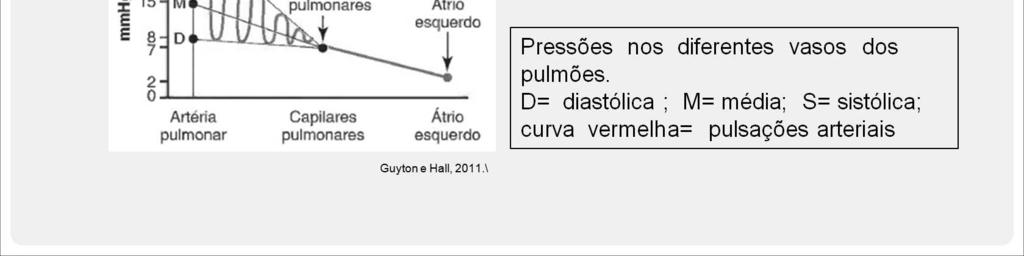 Pressões na artéria pulmonar: durante a sístole, a pressão na artéria pulmonar é essencialmente igual à pressão no ventrículo direito (P VD ).