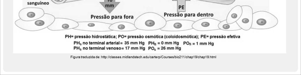 A pressão osmó ca criada pela presença dessas proteínas é conhecida como pressão coloidosmótica ( ), também chamada de pressão oncó ca.
