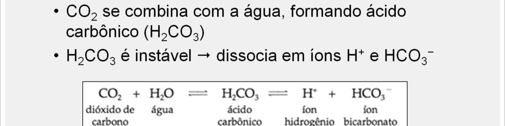 Quando o CO 2 se difunde para os eritrócitos, ele se combina com a água, formando ácido carbônico (H 2 CO 3 ), devido à presença da anidrase carbônica.