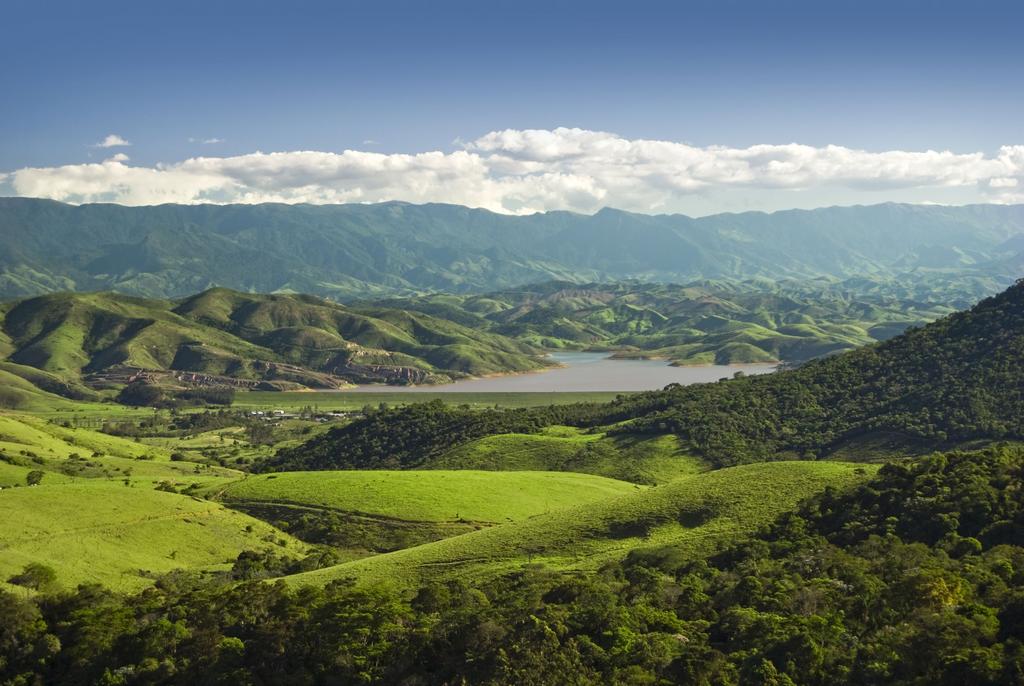 Experiências em Recuperação Ambiental Código Florestal Recuperação de Área de