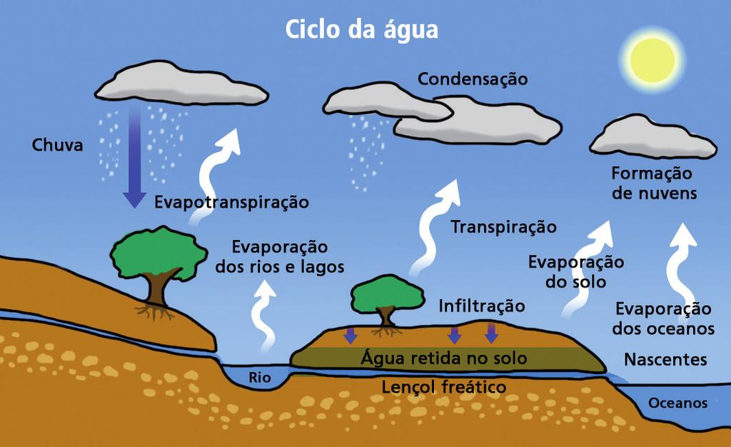 O escoamento da água seja ele superficial ou subterrânea irá ser direcionado para os diversos cursos hídricos que formam a chamada bacia hidrográfica: nascente, córrego, ribeirão, riacho, rio, lagoa