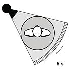 18 limitando assim o tempo de corte, que mesmo assim foi reduzido para aproximadamente 5 segundos 3. Figura 7: Geometria dos tomógrafos de terceira geração adaptados 2.