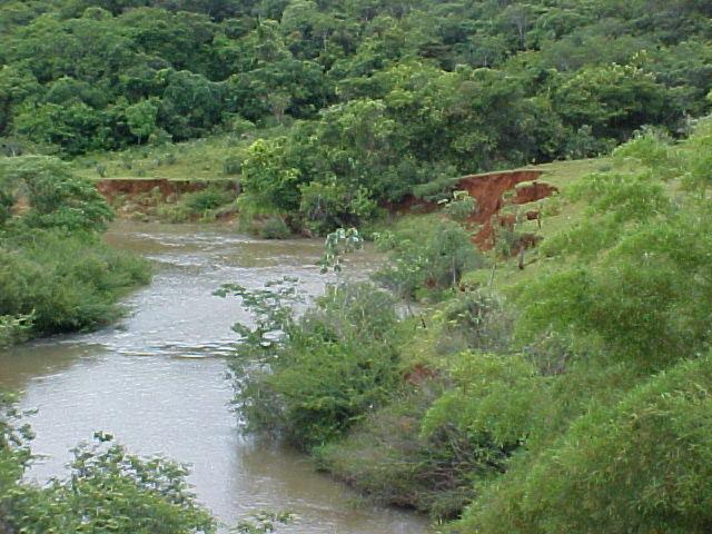 acesso direto ao córrego, além de voçorocas nas margens do córrego (Figura 3). Torres et al. (2007) e Cunha et al.