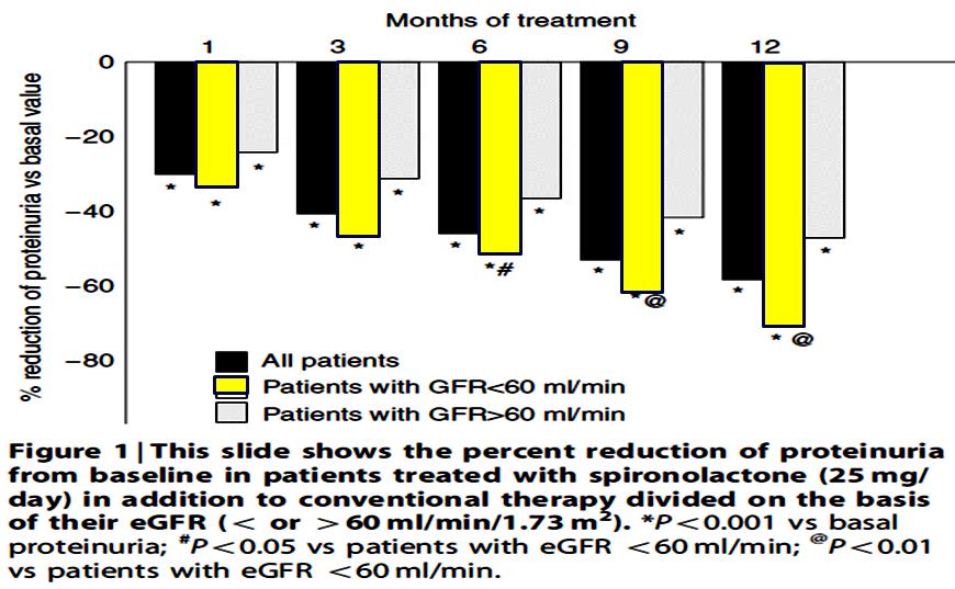 Long-term effects of spironolactone on proteinuria and kidney function in
