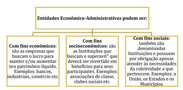 As entidades econômico-administrativas podem ser de três tipos: entidades com fins econômicos; entidades com fins socioeconômicos; e entidades com fins sociais, conforme ilustração a seguir.