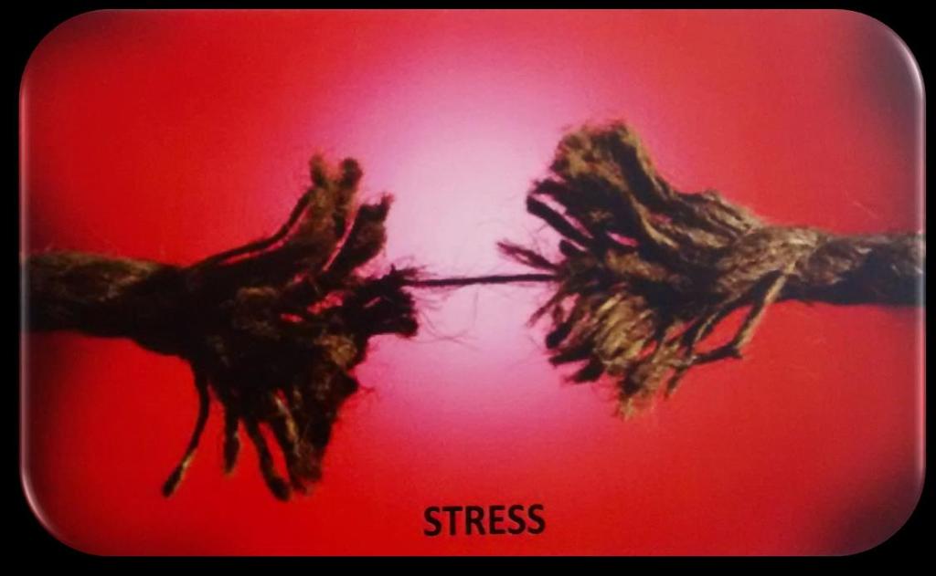 RESILIÊNCIA ENVOLVE SITUAÇÕES DE STRESS Tal capacidade de aprender a equilibrar as emoções diante de situações de stress sem negá-las,