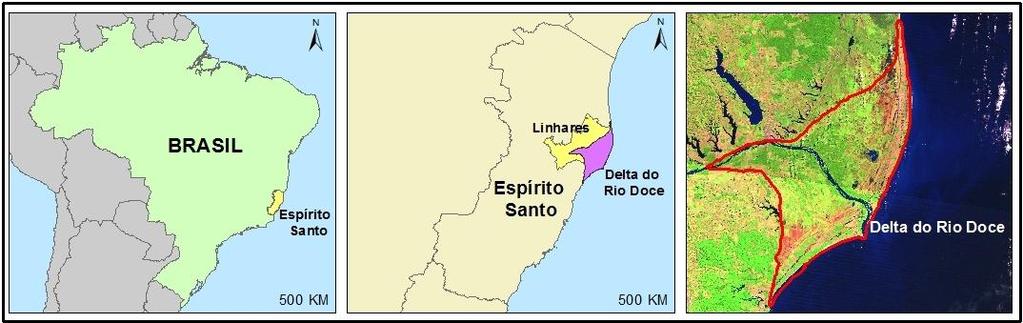 Caracterização da área O delta do Rio Doce localiza-se no município de Linhares no estado do Espírito Santo.