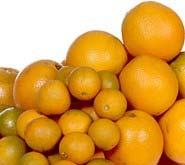 Introdução variedades de laranja doce (C. sinensis L. sbeck), independentemente do portaenxerto utilizado (RSSETI et al., 1990).