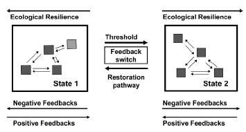 Resiliência O ecossistema pode ser expresso como 2 ou mais estados alternativos e pode ocorrer a transição de um estado para outro através de mudança nas estruturas e processos do