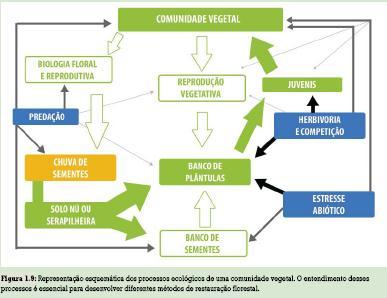 Fonte: Pacto