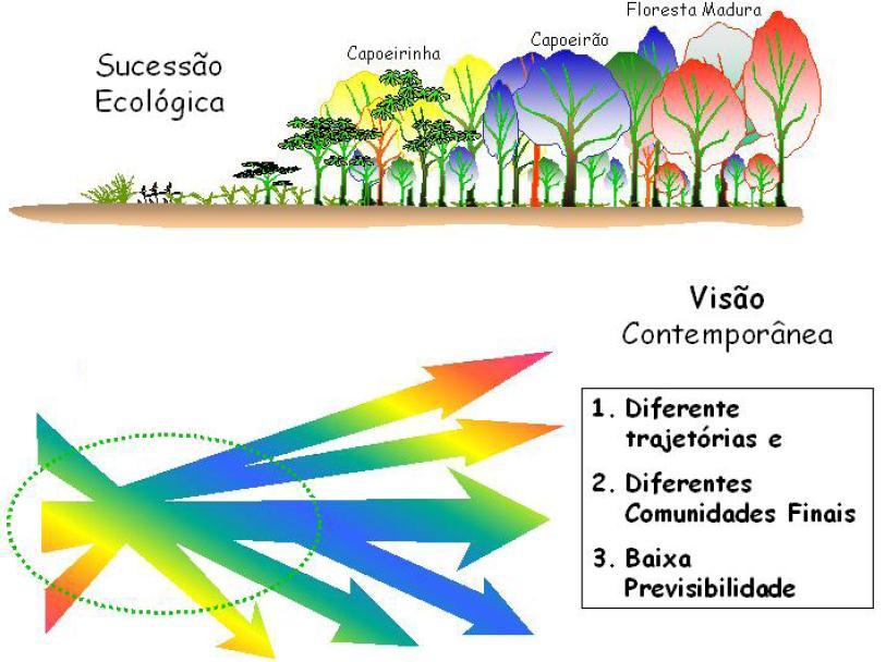 Isolamento Dispersão Ventos Fogo