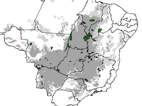 Área Protegida (%) Área de UC / ha Área (Km) 9// Área protegida por UCs nos Biomas Uso Sustentável (%) 5 6, Proteção Integral (%) 6,9 5 9, 8, 7, 5,,9,5 8.. 6........ 8.. 6...... UC no Cerrado - 99 a 9.