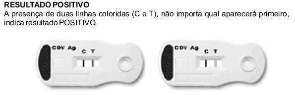 Imunocromatografia aula prática CDV cinomose More