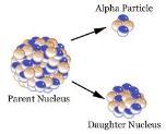 Decaimento Exponencial Desintegração radioativa é a transformação de um nuclídeo pai para outro filho. Cada elemento possui uma constante de desintegração simbolizada por λ.